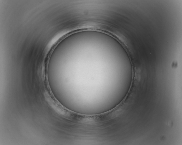 X0000111501078200907141306