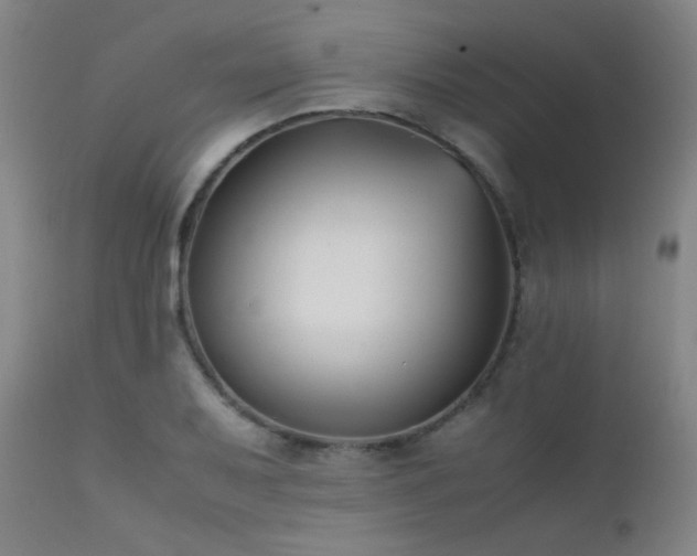 X0000111501079200907141306