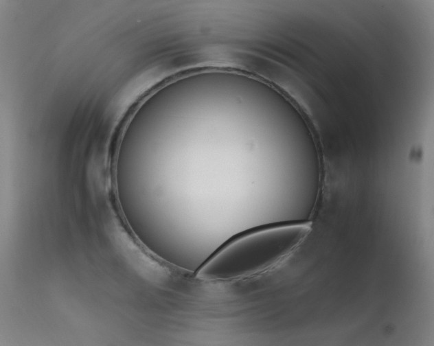 X0000111501080200907141306