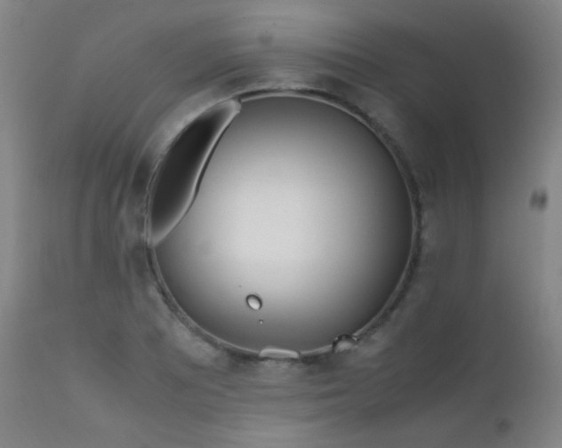 X0000111501081200907141306
