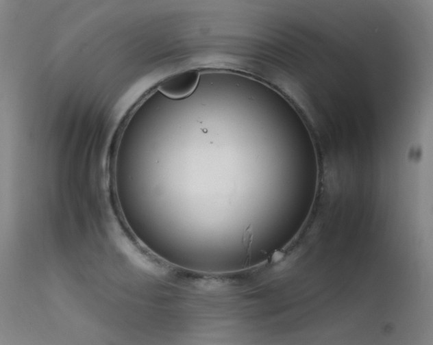 X0000111501082200907141306
