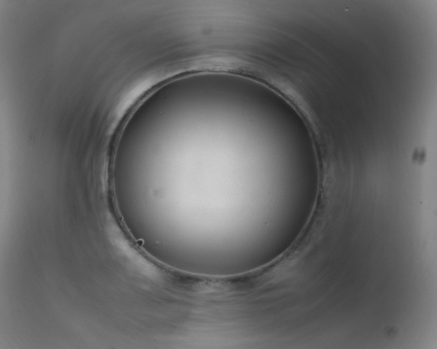 X0000111501083200907141306