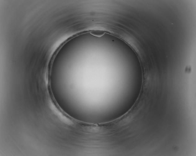 X0000111501084200907141306