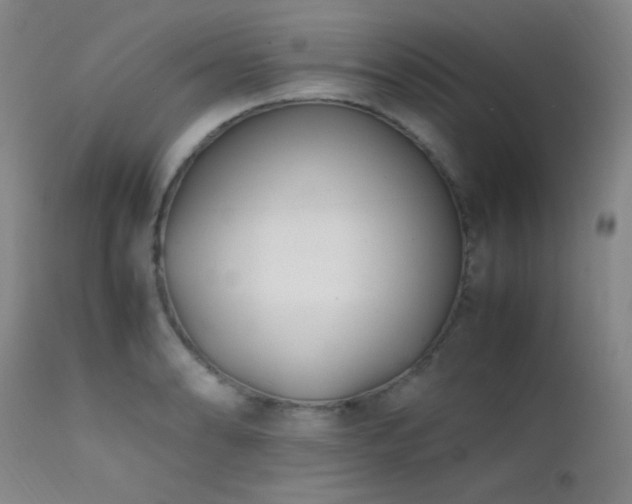 X0000111501086200907141306
