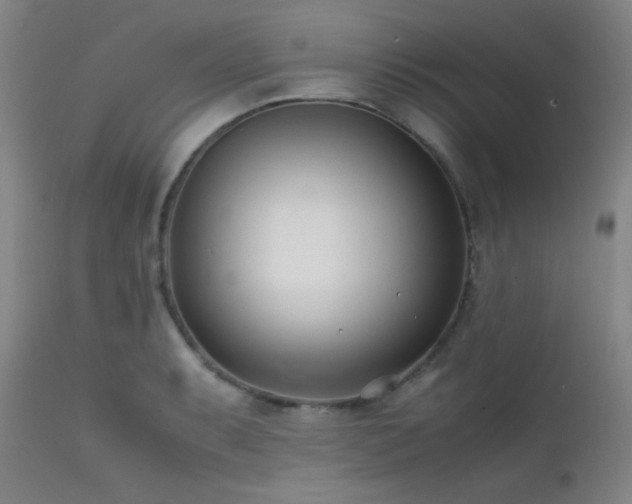 X0000111501087200907141306