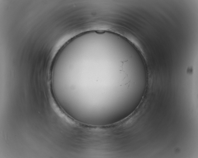 X0000111501088200907141306