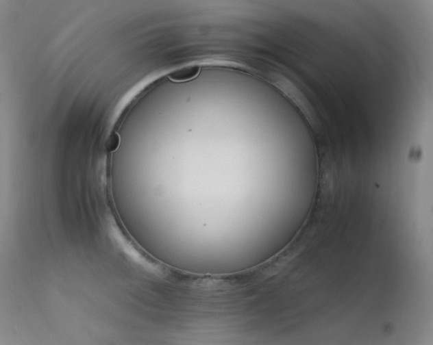 X0000111501092200907141306