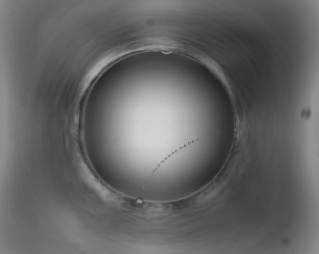 X0000111501099200907141306