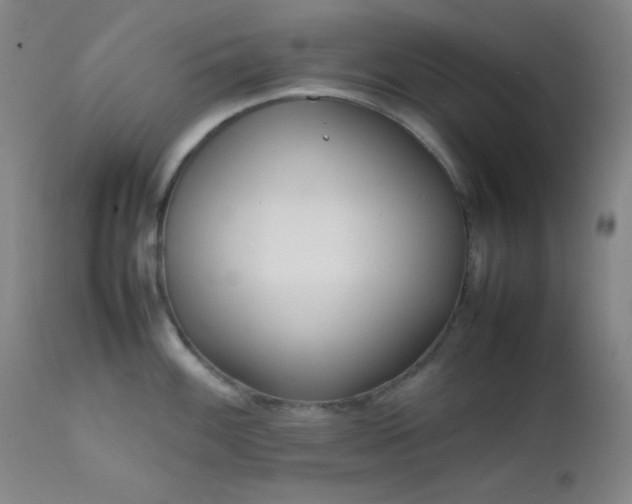 X0000111501100200907141306