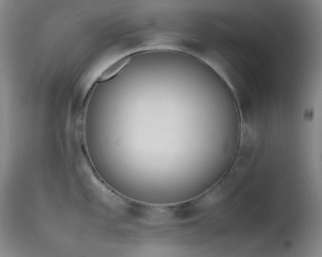 X0000111501101200907141306