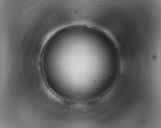 X0000111501102200907141306