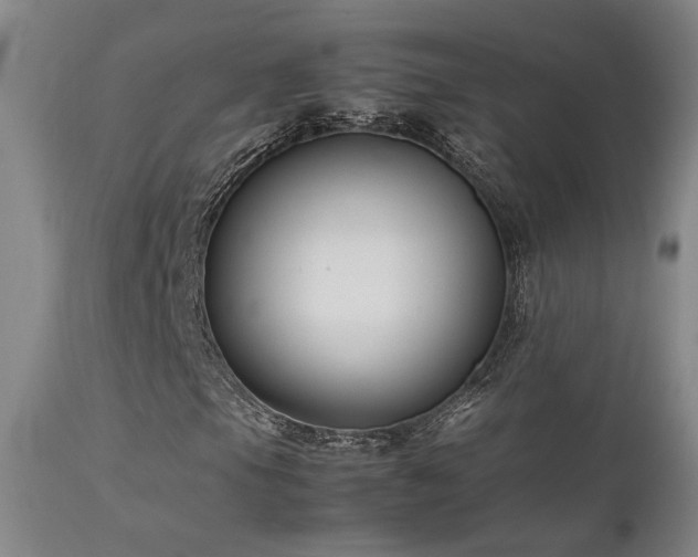 X0000111501105200907141305