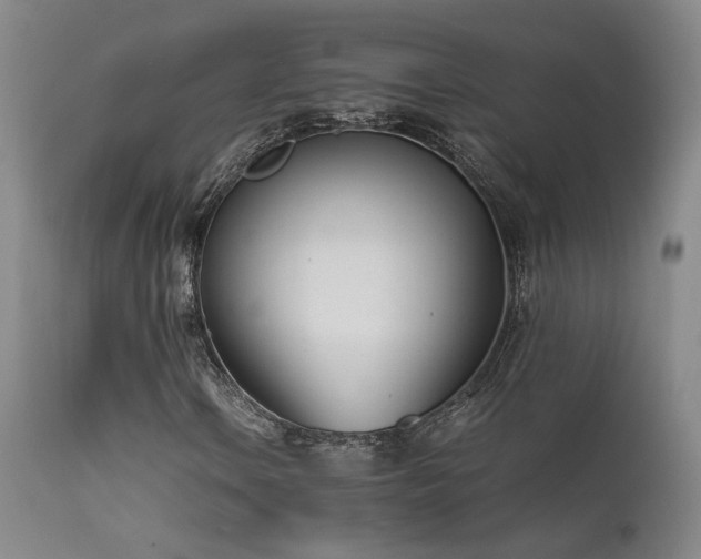 X0000111501106200907141305