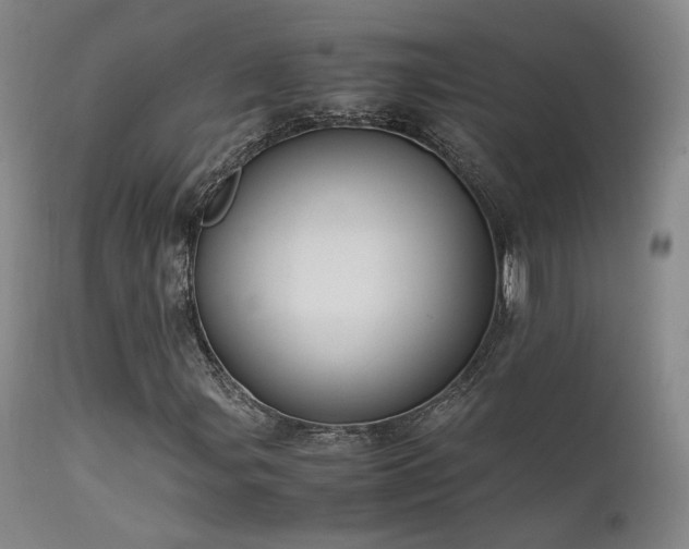 X0000111501107200907141305