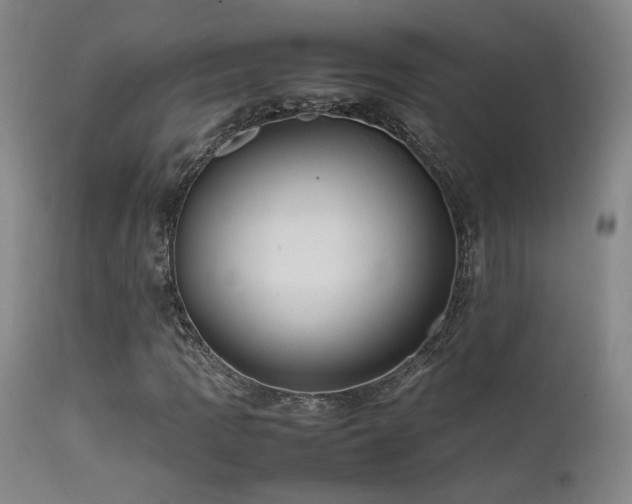 X0000111501109200907141305