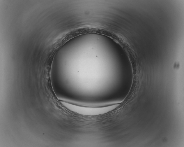 X0000111501110200907141305