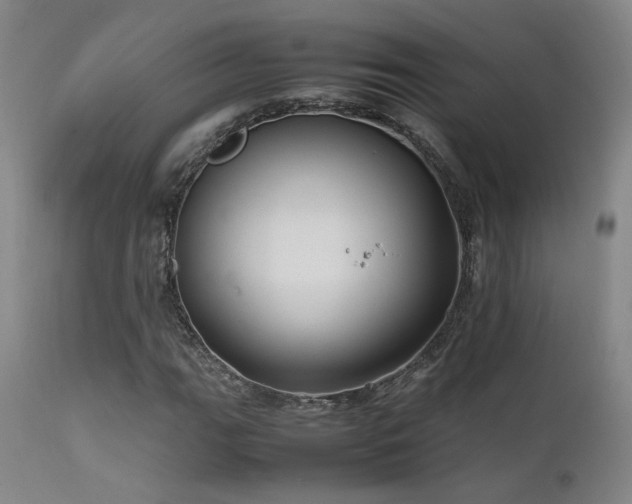X0000111501111200907141305