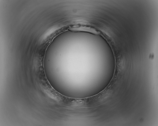 X0000111501112200907141305