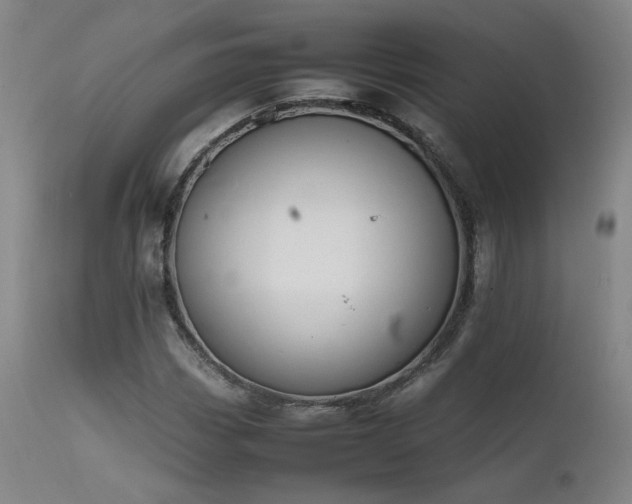 X0000111501113200907141305