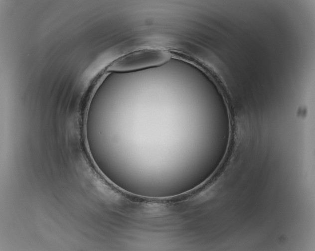 X0000111501114200907141305