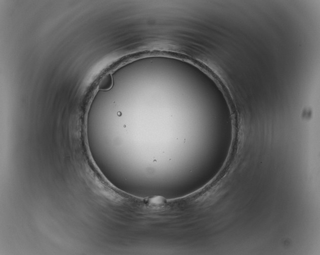 X0000111501115200907141305