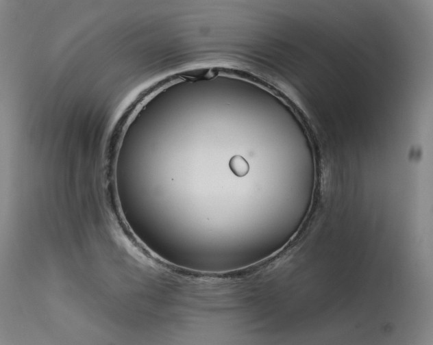 X0000111501116200907141305