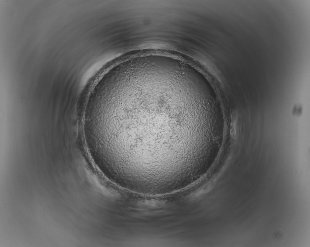 X0000111501117200907141305