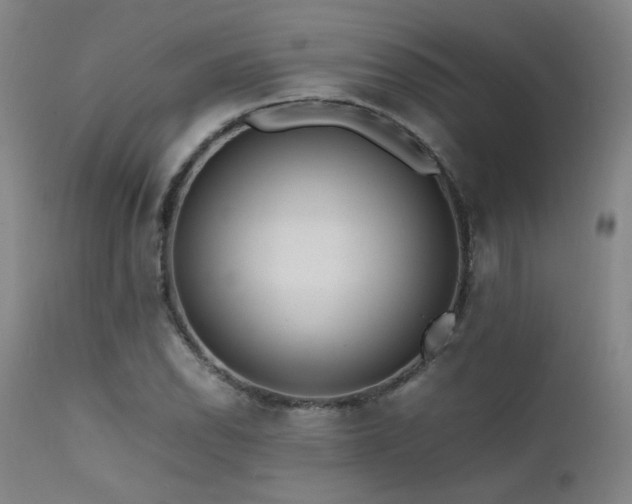 X0000111501118200907141305
