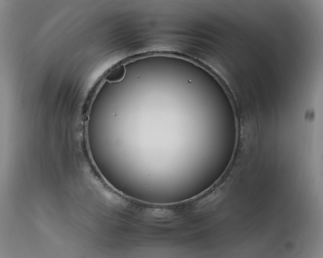 X0000111501119200907141305