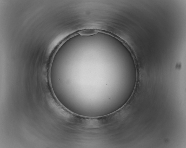 X0000111501120200907141305