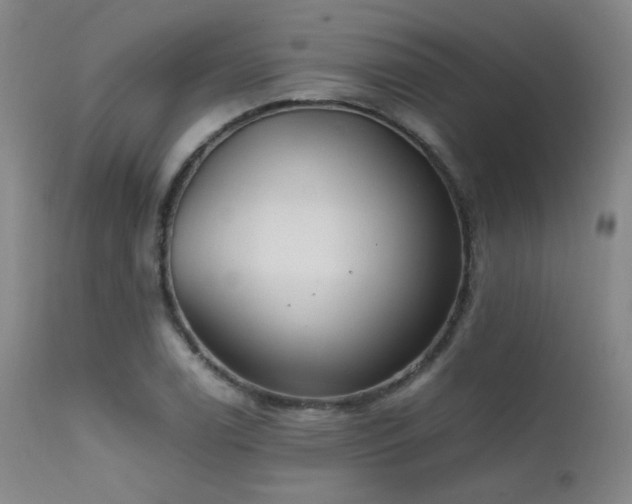 X0000111501122200907141306