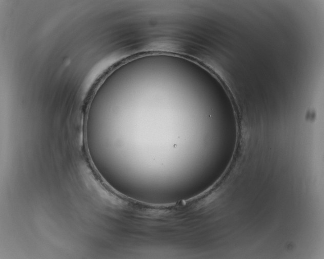 X0000111501123200907141306