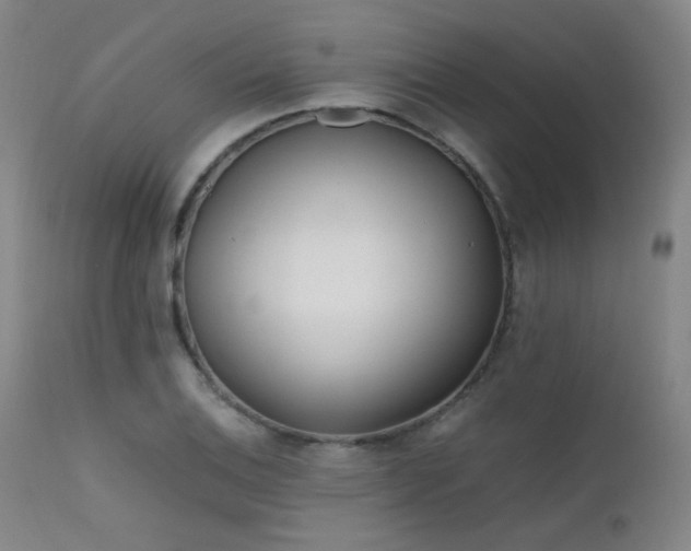 X0000111501124200907141306