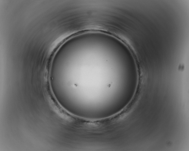 X0000111501125200907141306