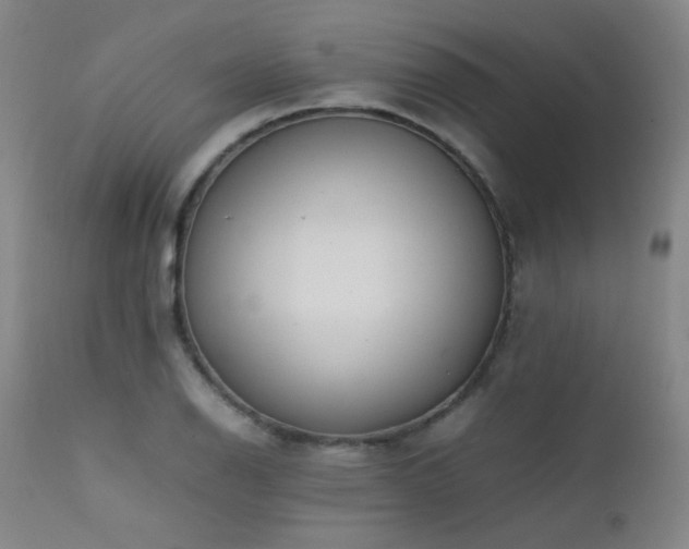 X0000111501126200907141306