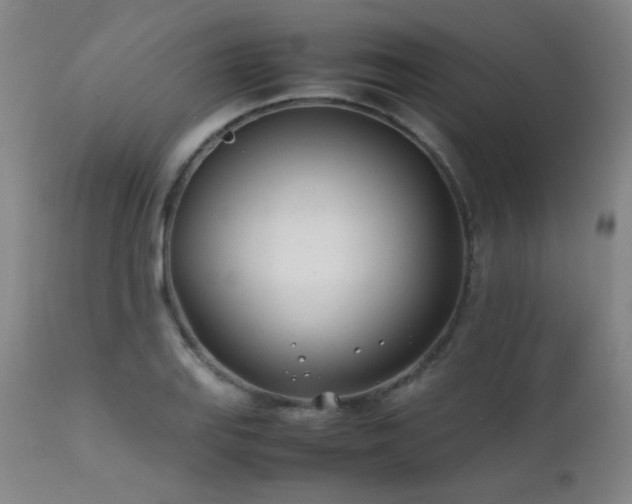 X0000111501127200907141306