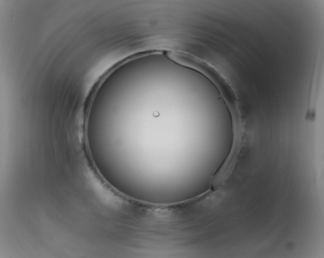 X0000111501128200907141306
