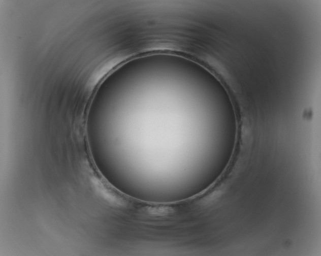 X0000111501129200907141306