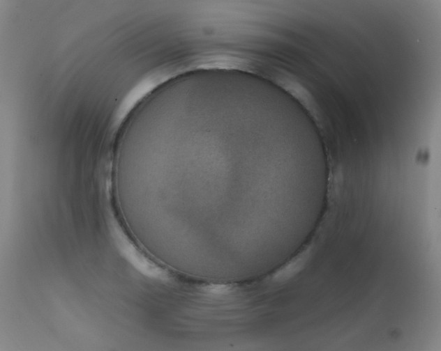 X0000111501130200907141306