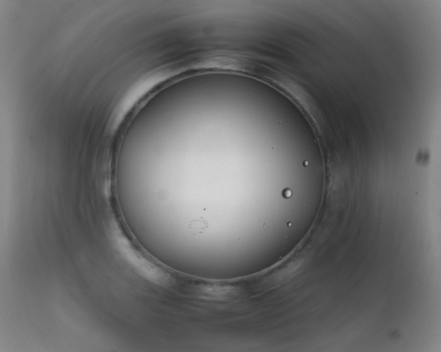 X0000111501131200907141306