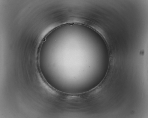 X0000111501135200907141306