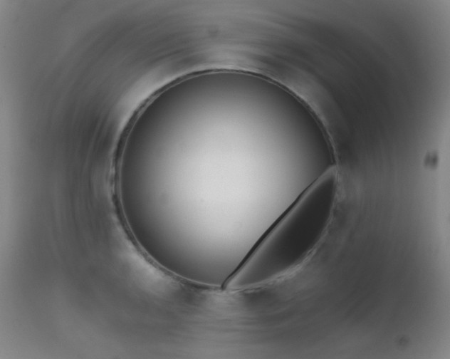 X0000111501136200907141306