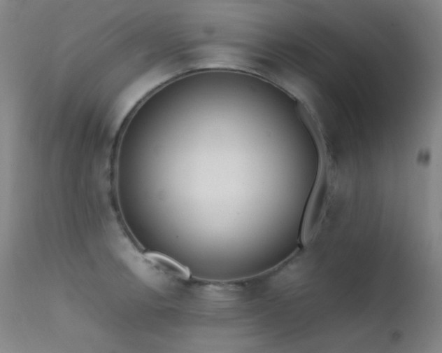 X0000111501138200907141306