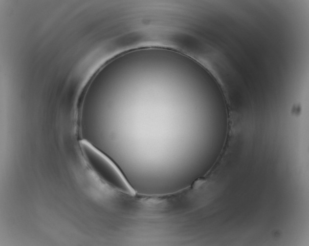 X0000111501140200907141306