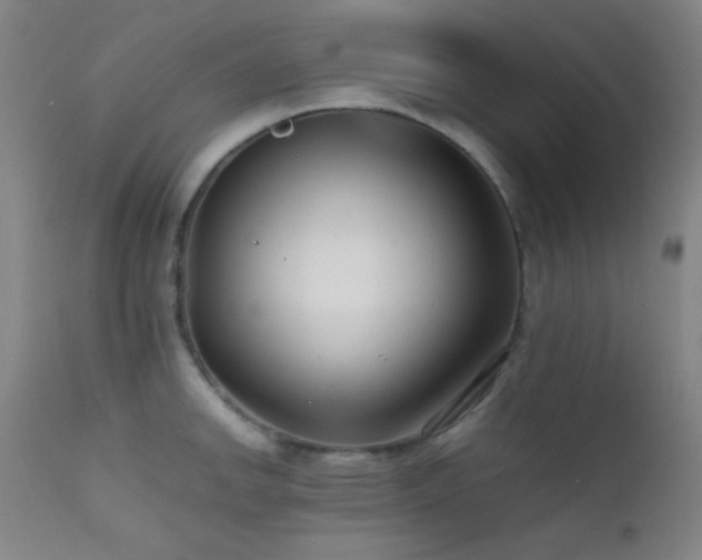 X0000111501142200907141306