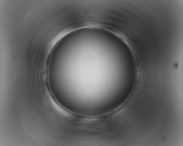 X0000111501143200907141306
