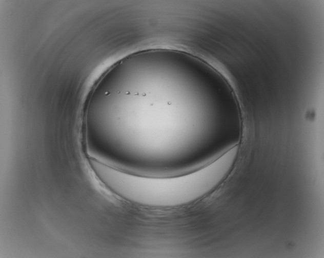 X0000111501144200907141306