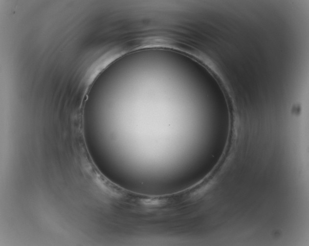 X0000111501145200907141306