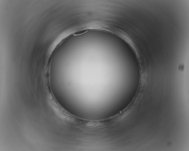 X0000111501146200907141306
