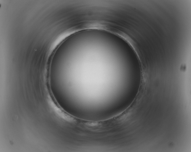 X0000111501147200907141306
